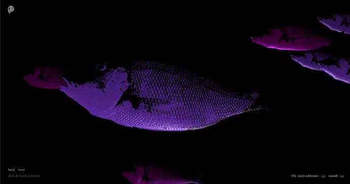 20个使用3D动画背景的网站设计